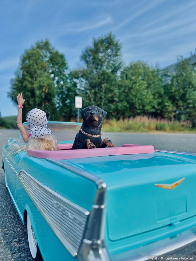 Barbie стаил от Dragon’s Shell Doll (фото 8)