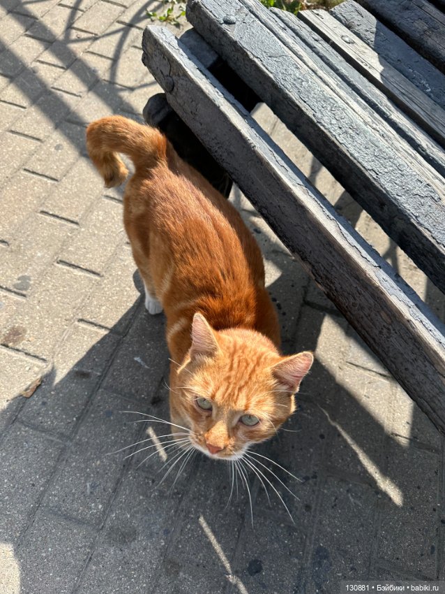 Ресницы убраны. Всем спасибо за подсказки ) Прошу совета. Можно ли стереть ресницы Mia Nines D’onil