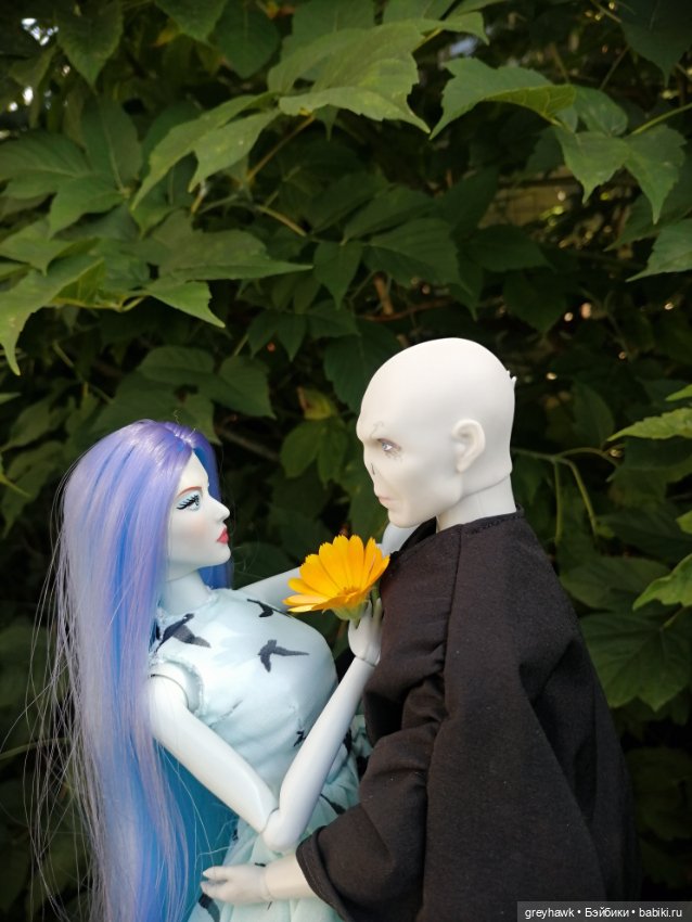 Лесные духи — Куклы Harry Potter (Гарри Поттер) Mattel: Wizarding World