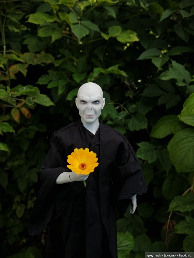 Лесные духи — Куклы Harry Potter (Гарри Поттер) Mattel: Wizarding World