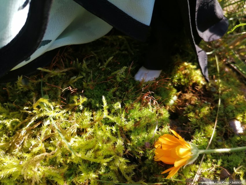 Лесные духи — Куклы Harry Potter (Гарри Поттер) Mattel: Wizarding World