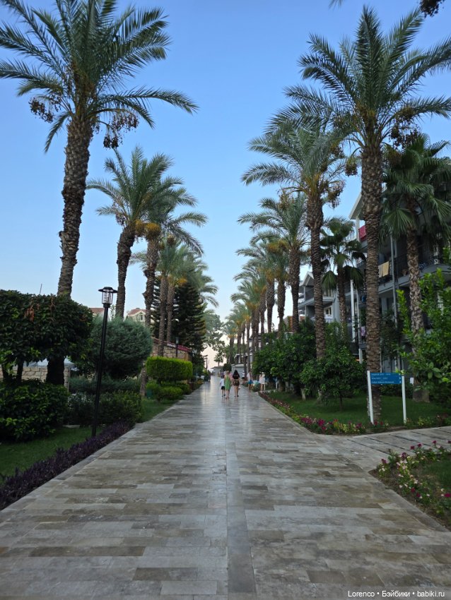 В гостях хорошо! Турция 2024