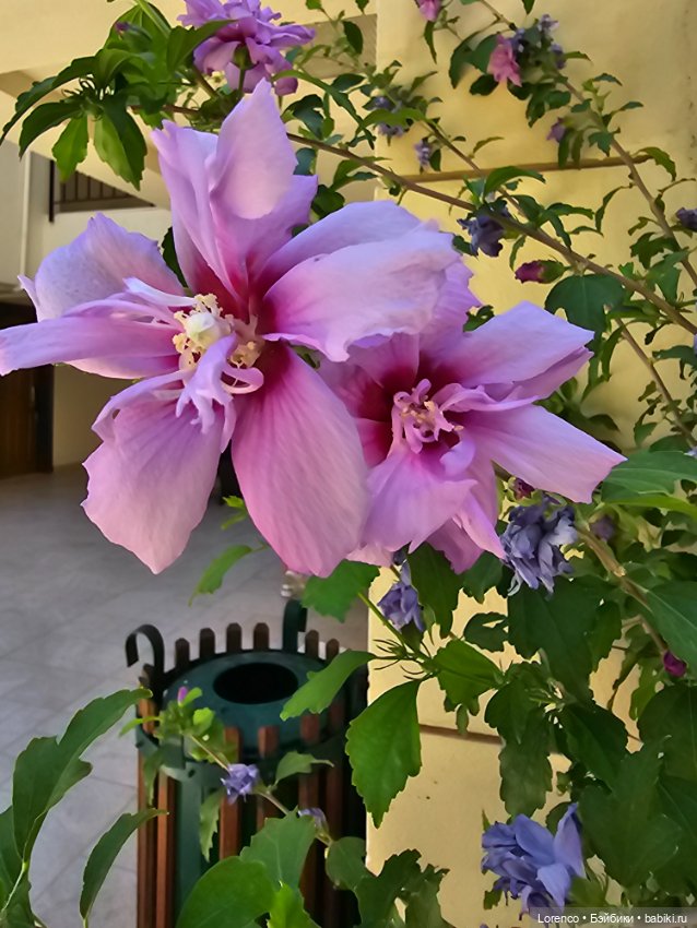 В гостях хорошо! Турция 2024 (фото 5)