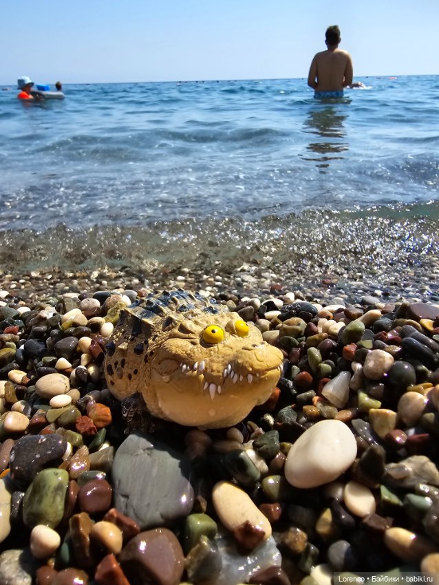 В гостях хорошо! Турция 2024