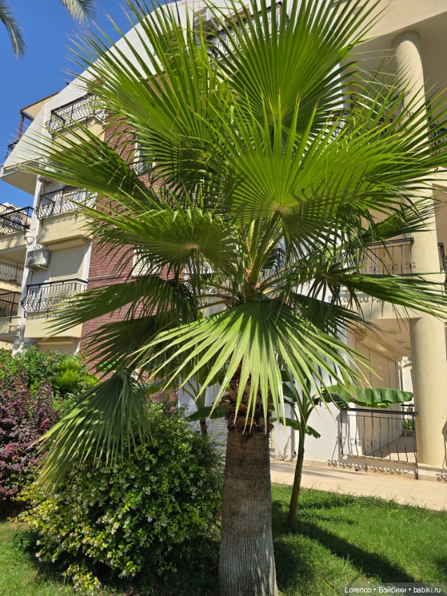 В гостях хорошо! Турция 2024