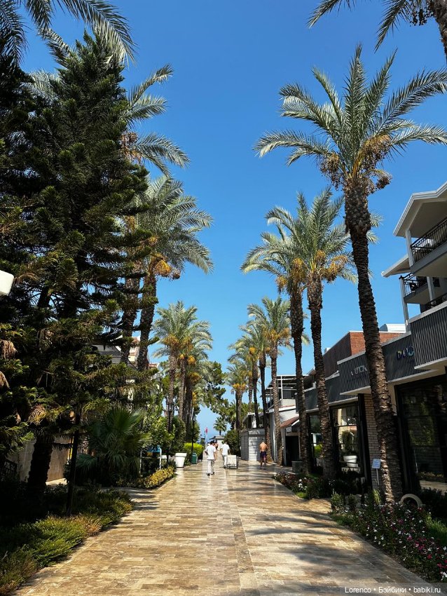 В гостях хорошо! Турция 2024