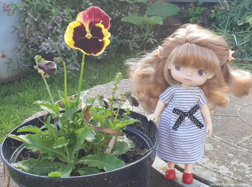 Ксиаоми Монст — Куклы Xiaomi Monst (Сяоми) и Pipitom: шарнирные (фото 4)