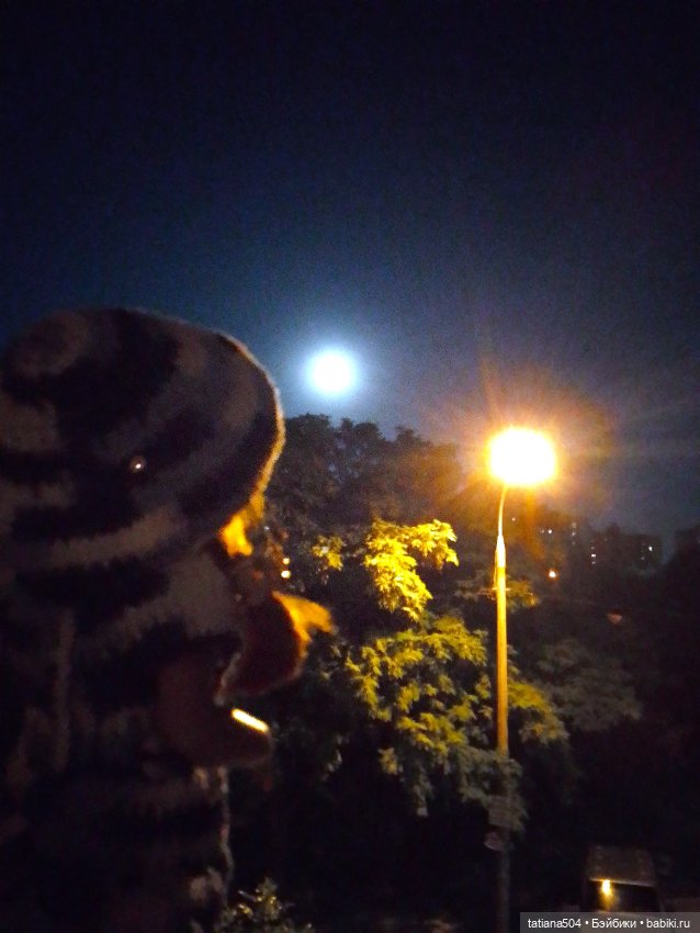 Голубая луна или СУПЕРЛУНЬЕ 2024г (фото 5)