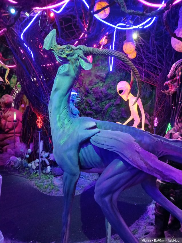 Совсем забросила — Туризм и путешествия: фотоотчеты из поездок