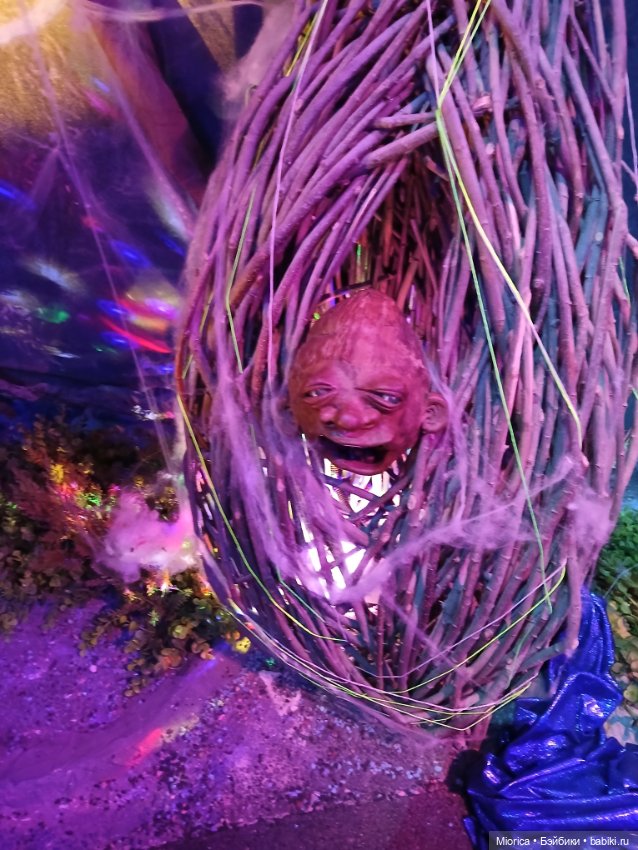 Совсем забросила — Туризм и путешествия: фотоотчеты из поездок