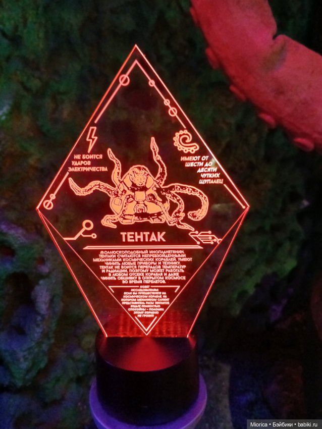 Совсем забросила — Туризм и путешествия: фотоотчеты из поездок