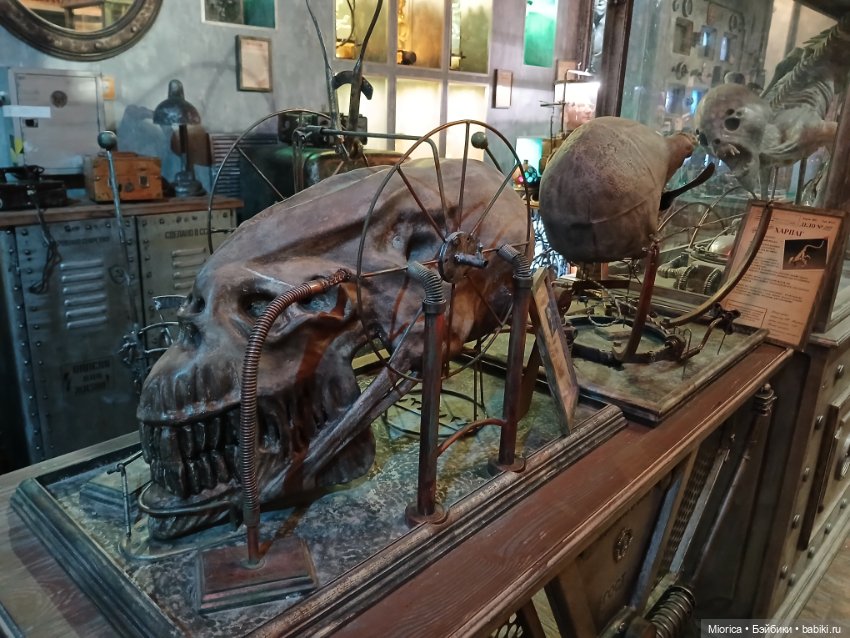 Совсем забросила — Туризм и путешествия: фотоотчеты из поездок