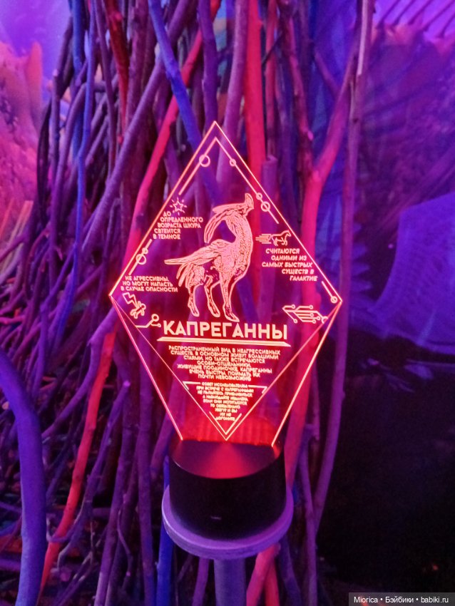 Совсем забросила — Туризм и путешествия: фотоотчеты из поездок