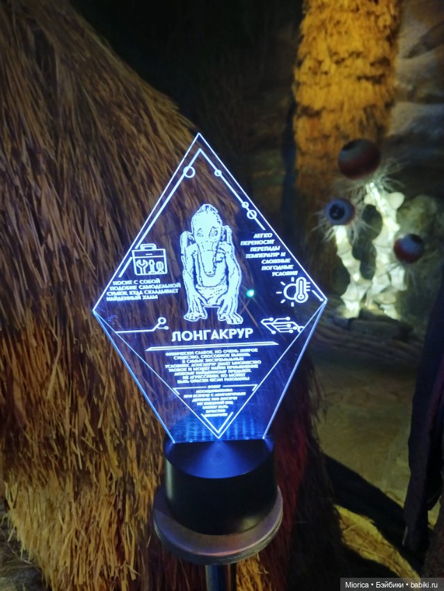 Совсем забросила — Туризм и путешествия: фотоотчеты из поездок