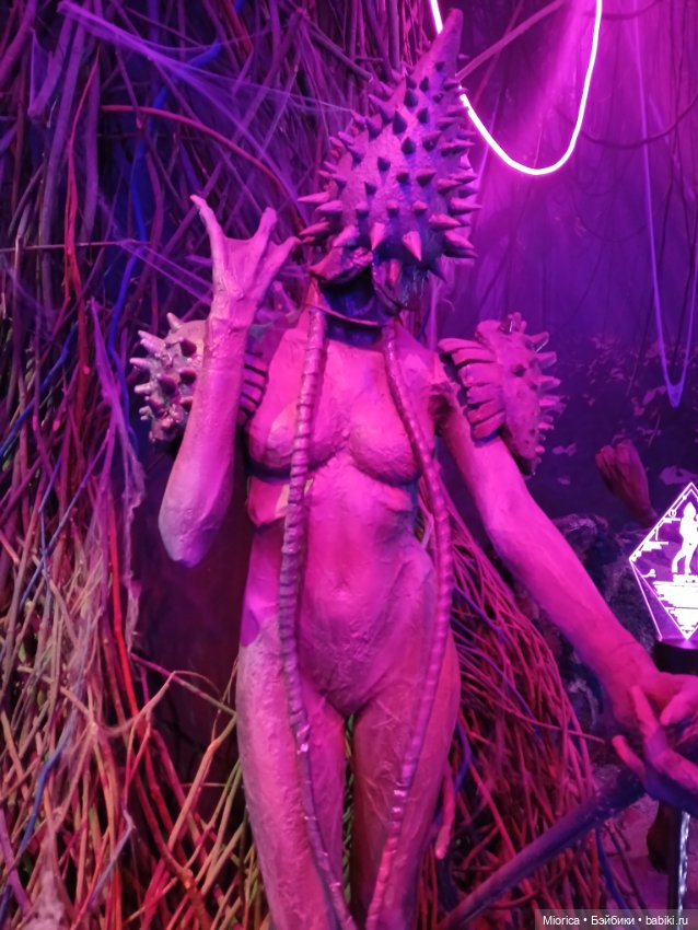 Совсем забросила — Туризм и путешествия: фотоотчеты из поездок