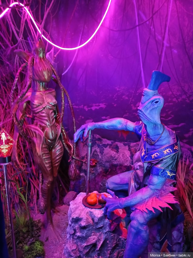 Совсем забросила — Туризм и путешествия: фотоотчеты из поездок