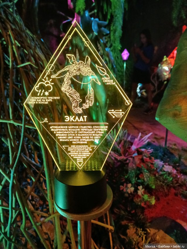 Совсем забросила — Туризм и путешествия: фотоотчеты из поездок