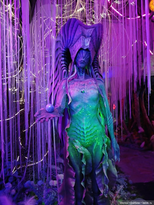 Совсем забросила — Туризм и путешествия: фотоотчеты из поездок