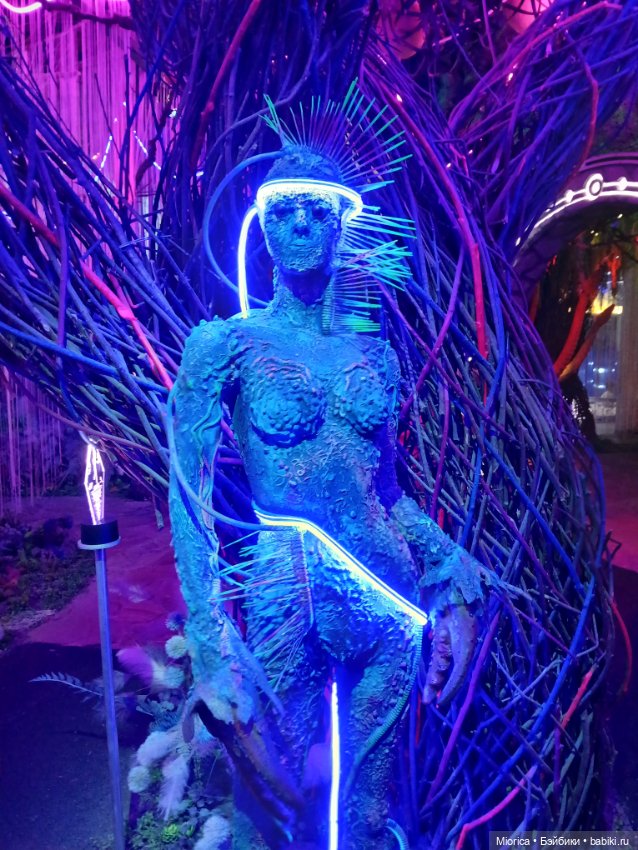 Совсем забросила — Туризм и путешествия: фотоотчеты из поездок