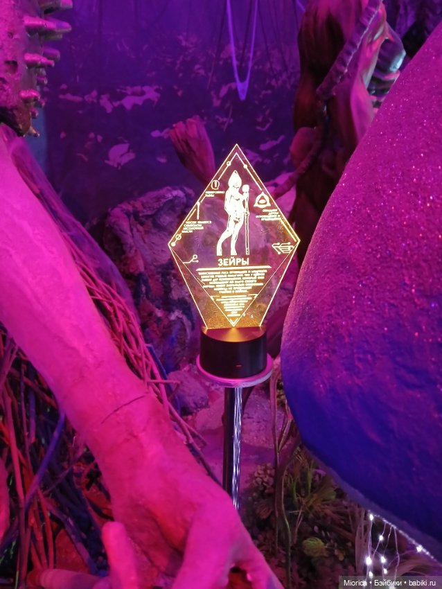 Совсем забросила — Туризм и путешествия: фотоотчеты из поездок