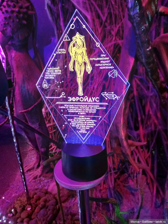 Совсем забросила — Туризм и путешествия: фотоотчеты из поездок