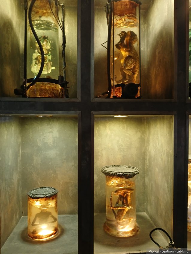 Совсем забросила — Туризм и путешествия: фотоотчеты из поездок (фото 4)