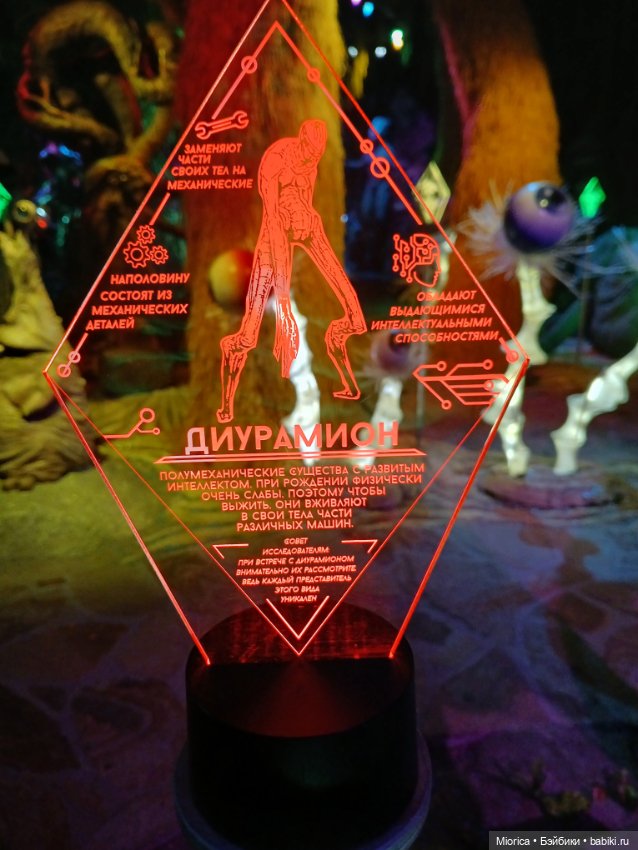 Совсем забросила — Туризм и путешествия: фотоотчеты из поездок