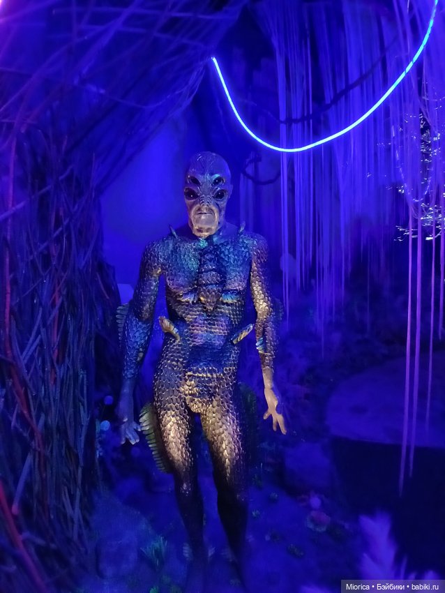 Совсем забросила — Туризм и путешествия: фотоотчеты из поездок