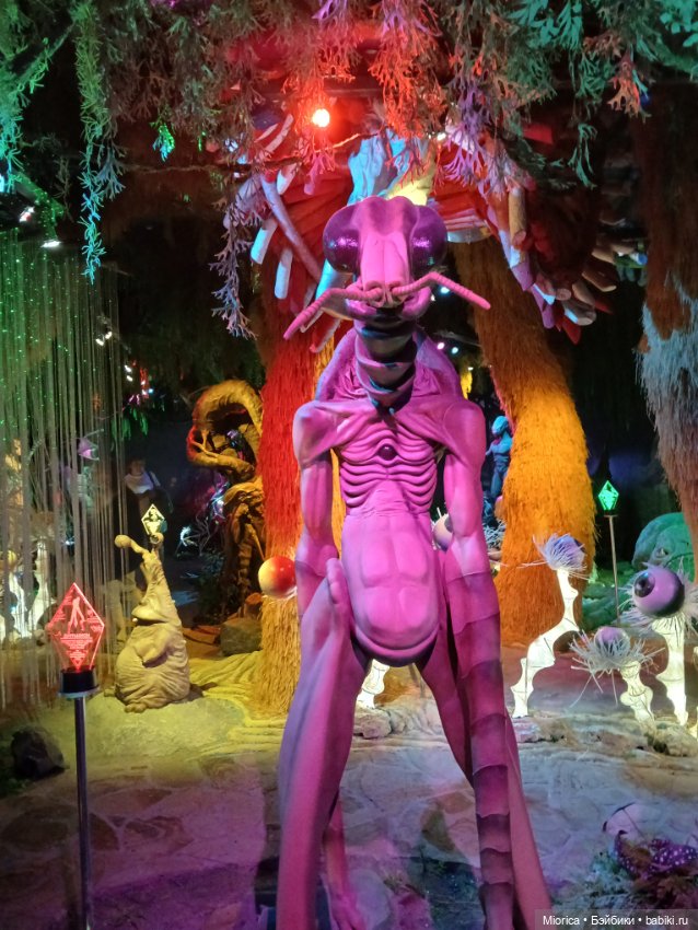 Совсем забросила — Туризм и путешествия: фотоотчеты из поездок