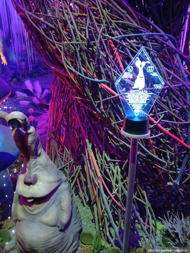 Совсем забросила — Туризм и путешествия: фотоотчеты из поездок