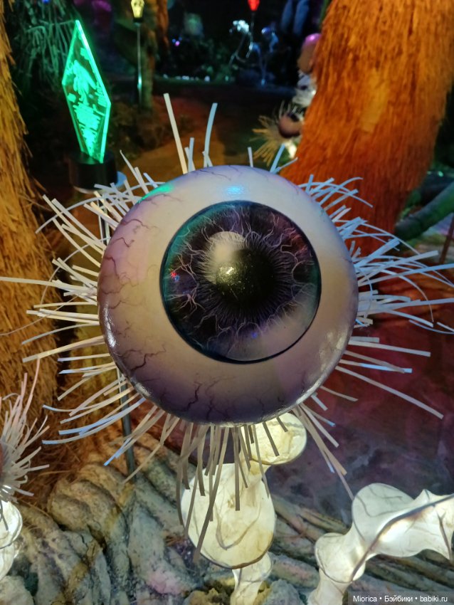 Совсем забросила — Туризм и путешествия: фотоотчеты из поездок