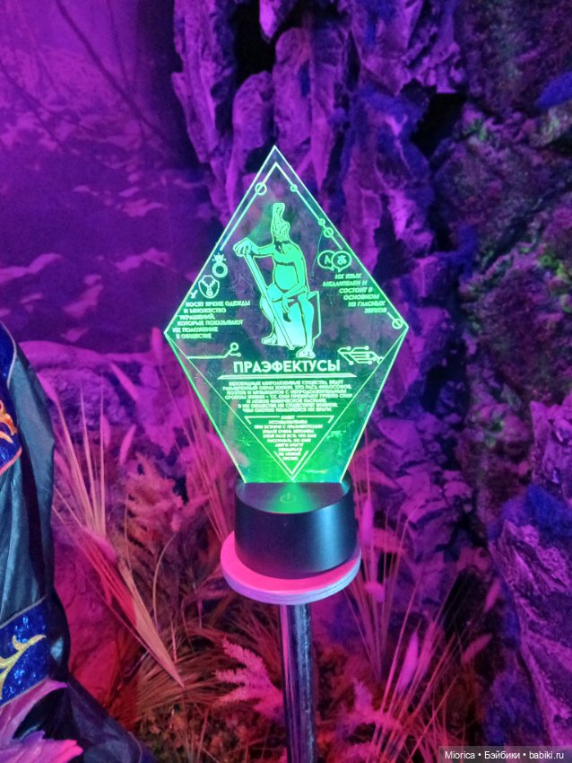 Совсем забросила — Туризм и путешествия: фотоотчеты из поездок