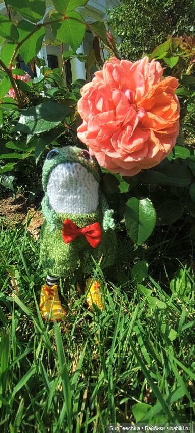 Семён - вязаный лягух — Домашние фото авторских игрушек: Тедди (фото 3)