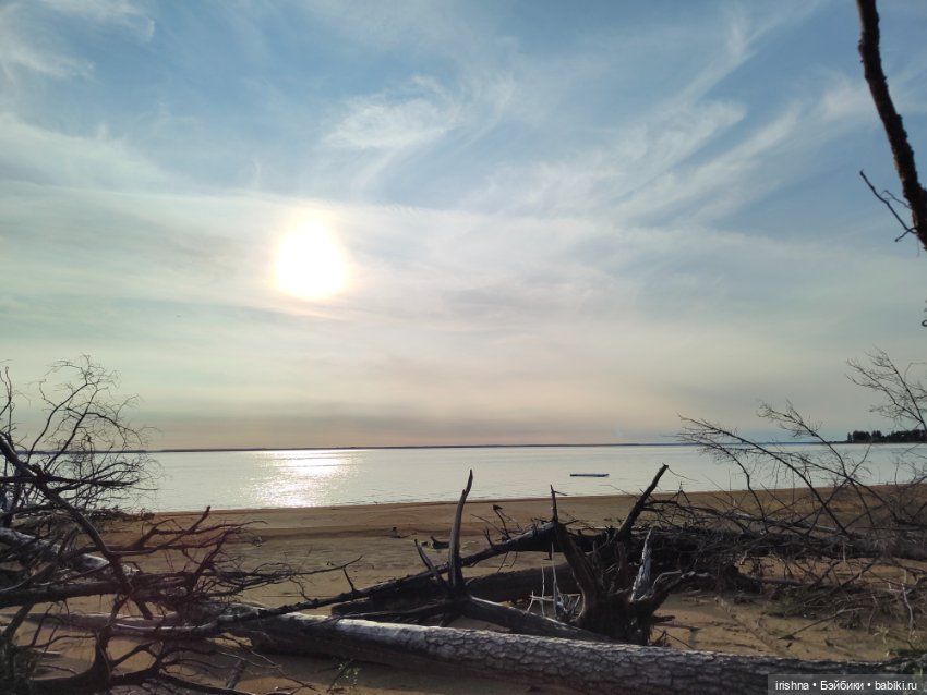 Ксю уютная кошечка — Куклы Integrity Toys (Интегрити): Poppy Parker