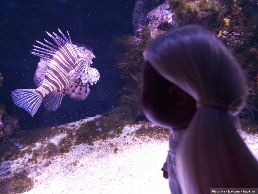 Уля в океанариуме — Куклы Nines d'Onil (Нинес): Миа (Mia) (фото 9)