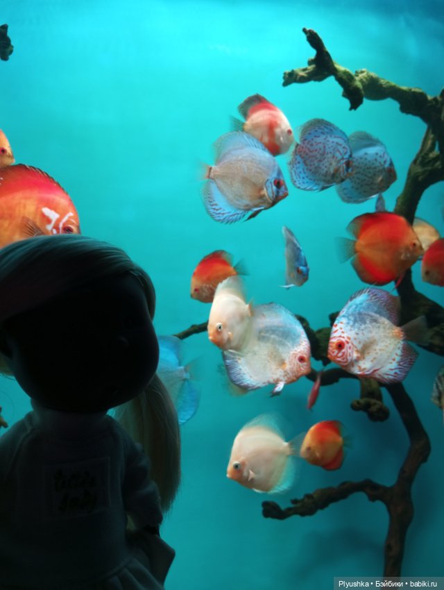 Уля в океанариуме — Куклы Nines d'Onil (Нинес): Миа (Mia)