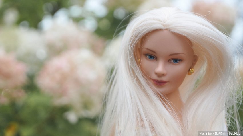 Когда цветут гортензии. Часть вторая. В фокусе Seventeen by Robert Tonner (фото 9)