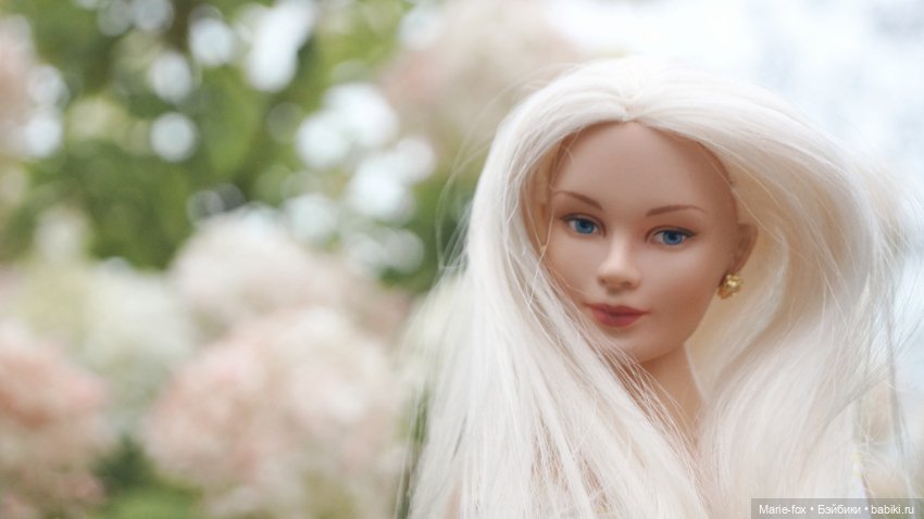 Когда цветут гортензии. Часть вторая. В фокусе Seventeen by Robert Tonner (фото 8)