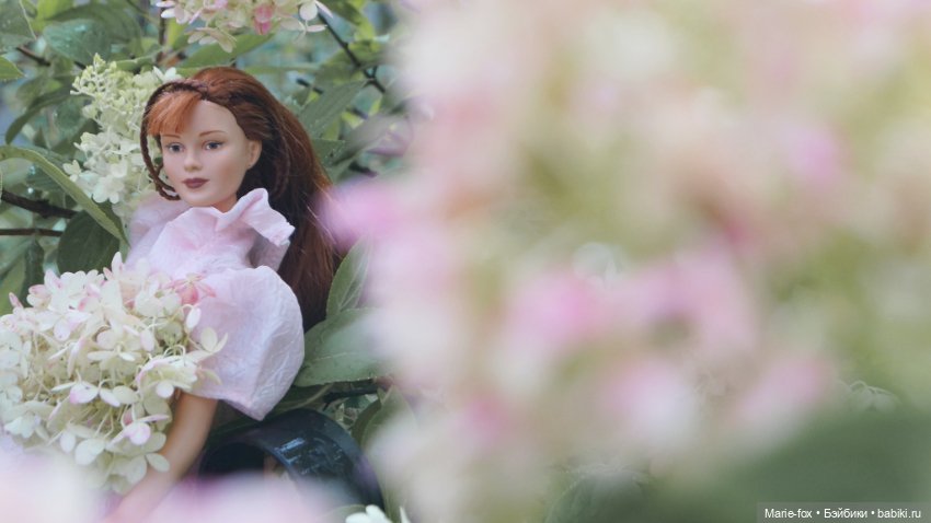 Когда цветут гортензии. Часть вторая. В фокусе Seventeen by Robert Tonner