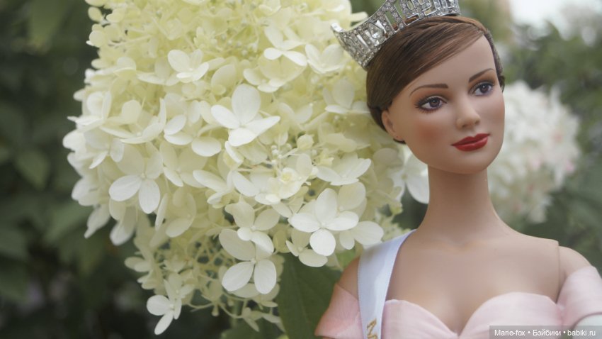 Когда цветут гортензии. Часть третья. Королевишна Miss America (фото 2)