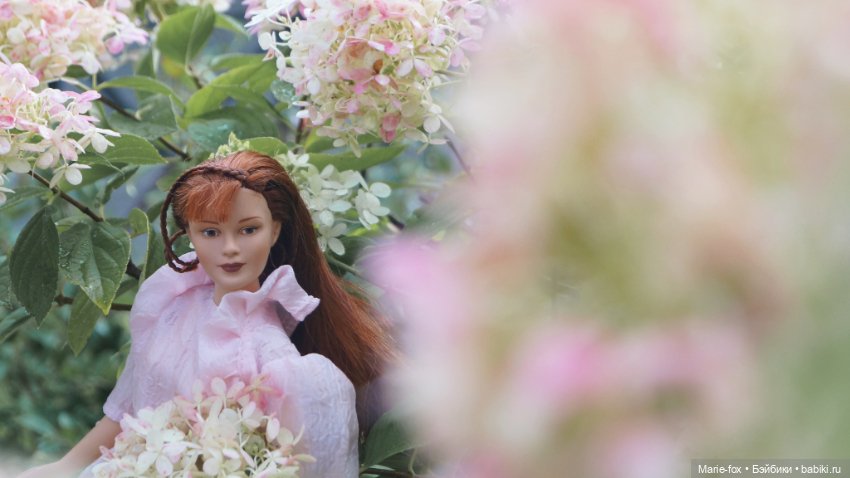 Когда цветут гортензии. Часть вторая. В фокусе Seventeen by Robert Tonner