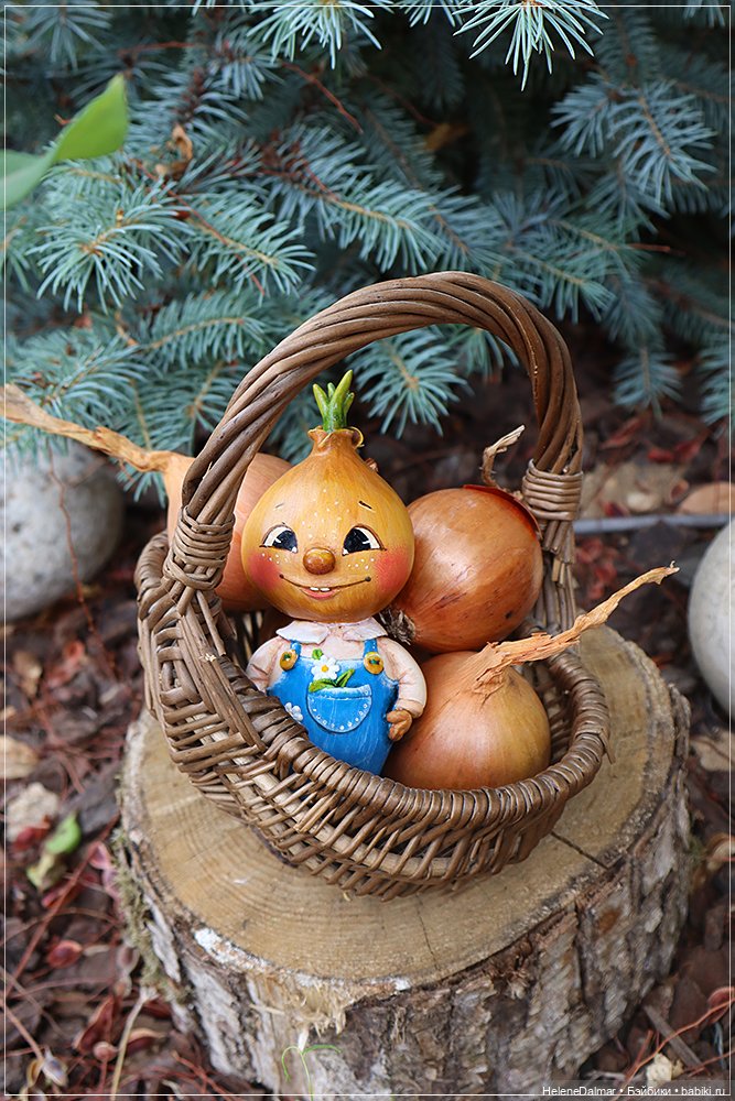 Налепилось за лето — Другие хобби и увлечения: сад (фото 8)