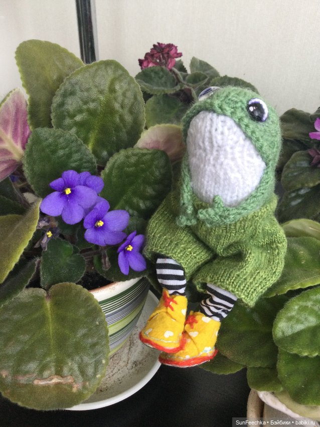 Семён - вязаный лягух — Домашние фото авторских игрушек: Тедди (фото 5)