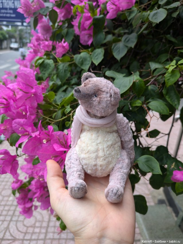 Мишки Вьеты. Путешественники (фото 8)