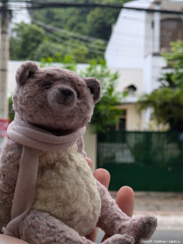 Мишки Вьеты. Путешественники