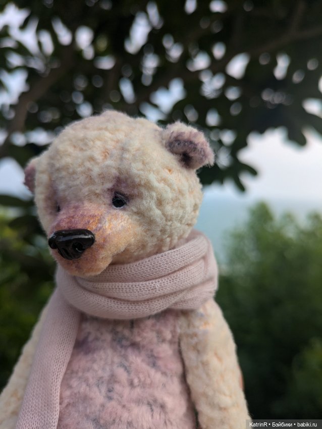 Мишки Вьеты. Путешественники (фото 10)