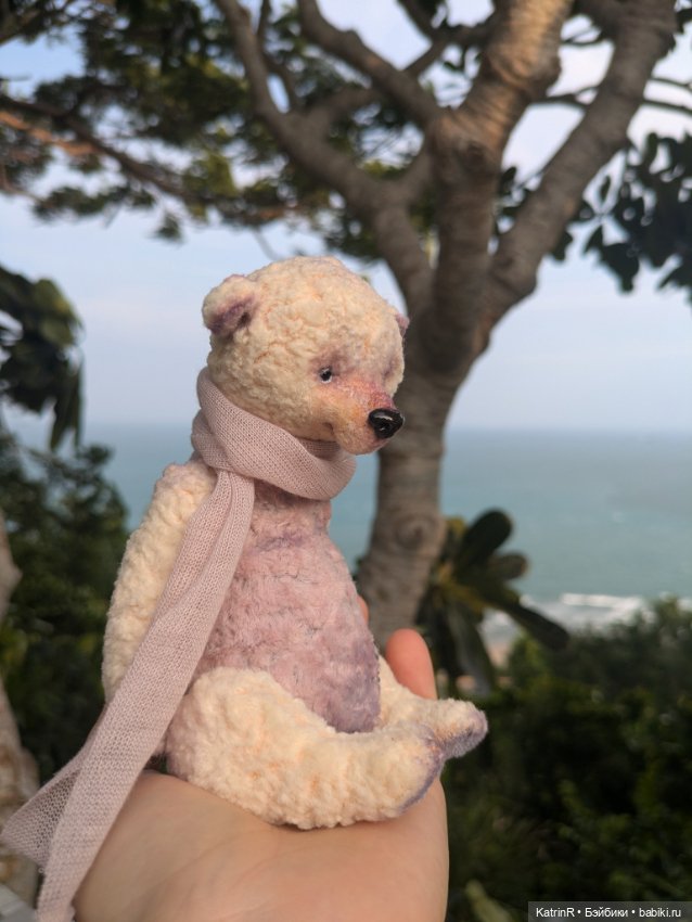 Мишки Вьеты. Путешественники (фото 6)