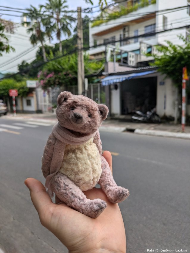 Мишки Вьеты. Путешественники (фото 9)