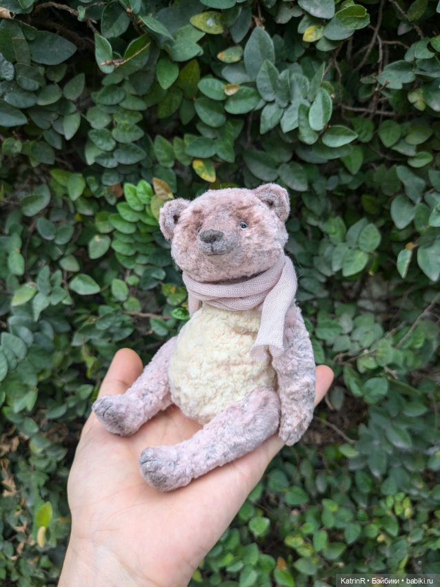 Мишки Вьеты. Путешественники