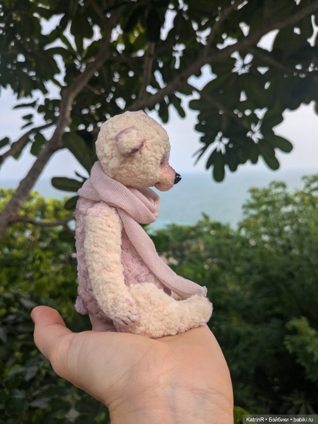 Мишки Вьеты. Путешественники